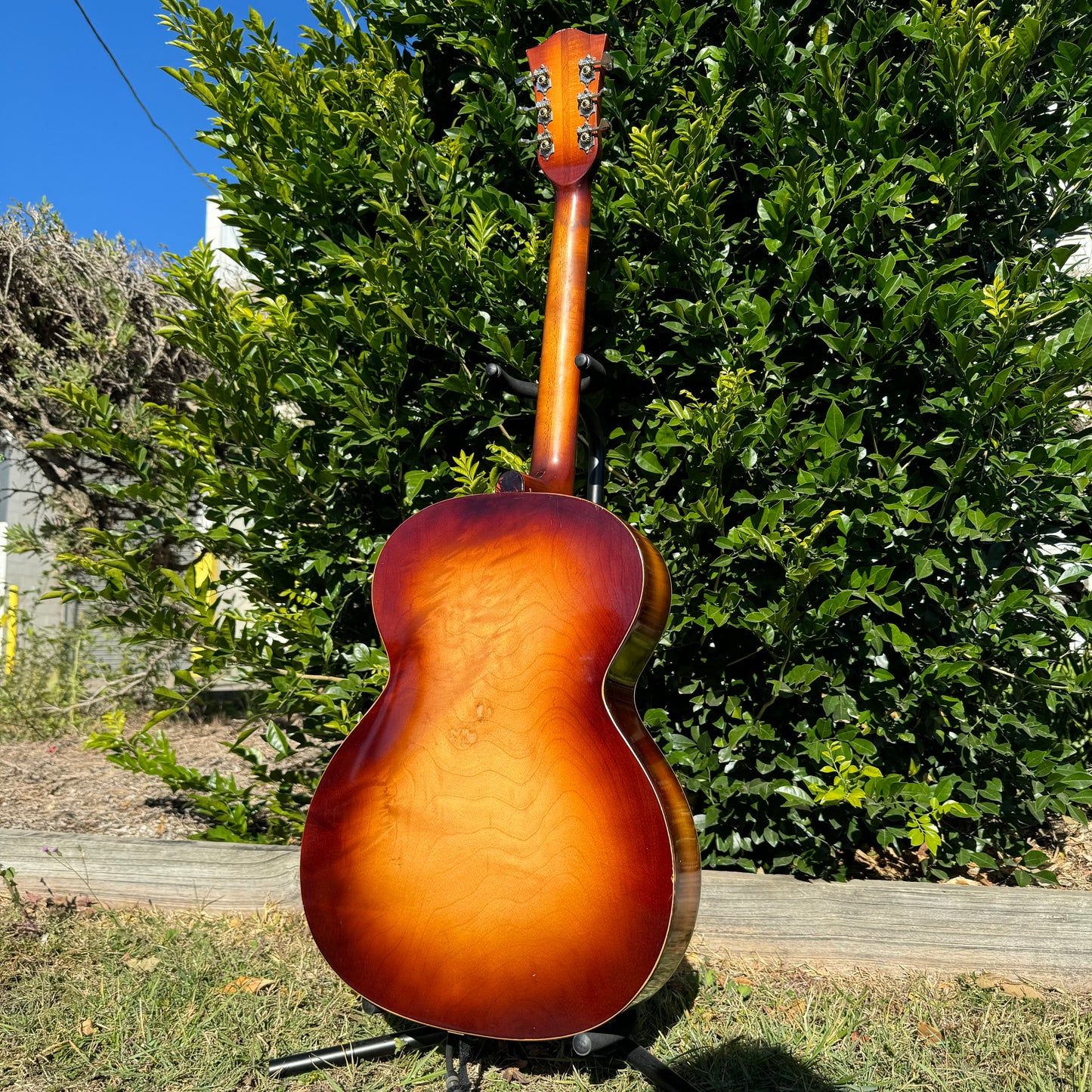 1964 Hofner Congress Archtop