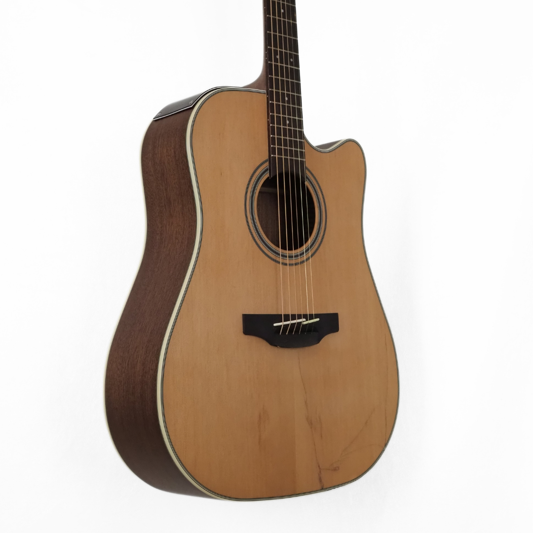 Takamine TGD20CENS G20 Series Dreadnought Guitar with Cutaway