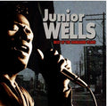 Junior Wells – Best Of The Vanguard Years (CD, Album, Compilation)