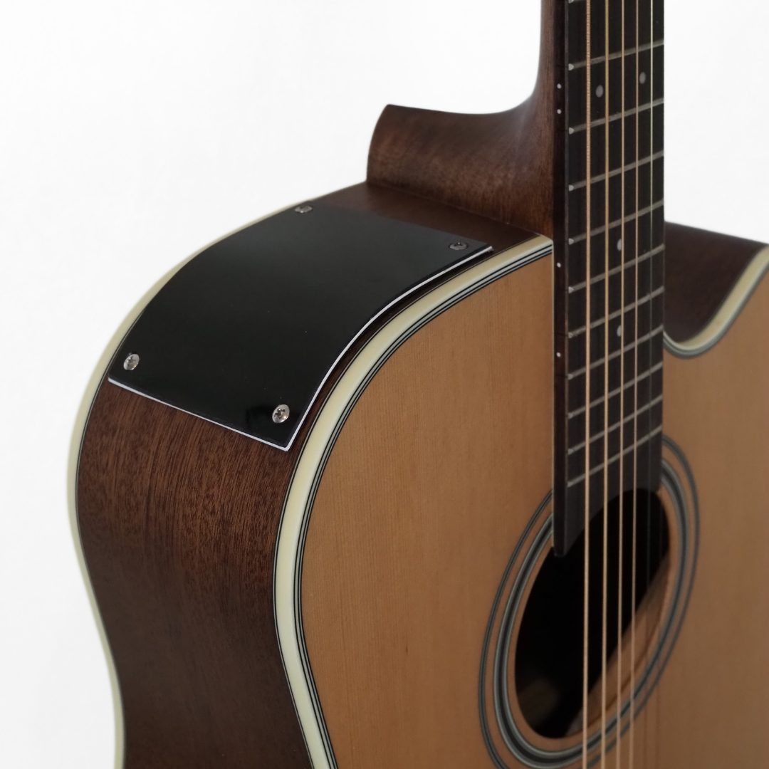 Takamine TGD20CENS G20 Series Dreadnought Guitar with Cutaway
