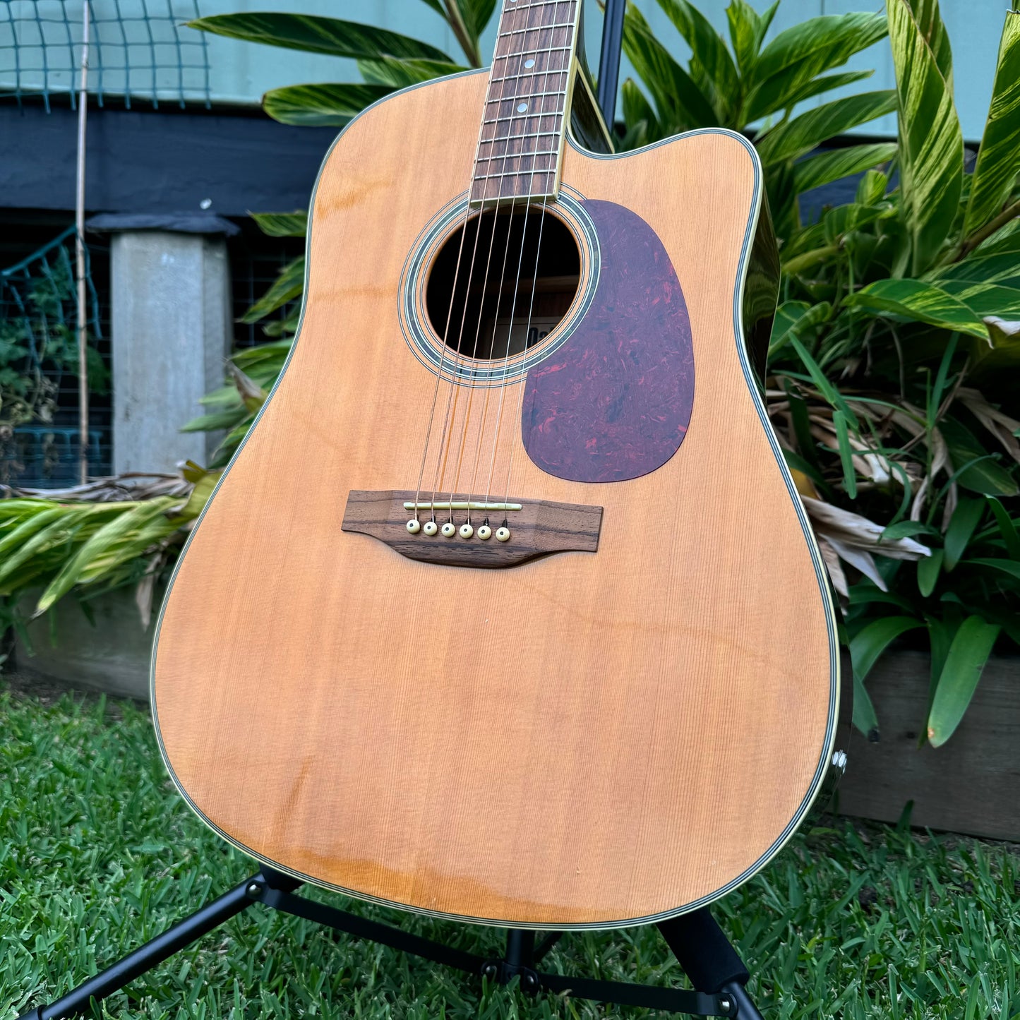 Oakridge 100/DDC50NAT Acoustic Electric