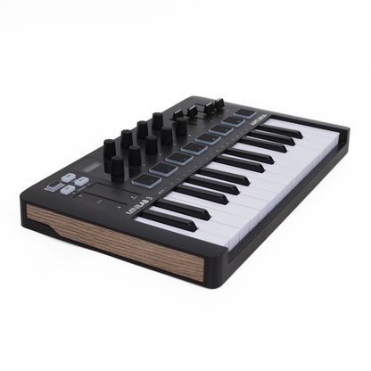 Arturia MiniLab3 Midi Keyboard Controller