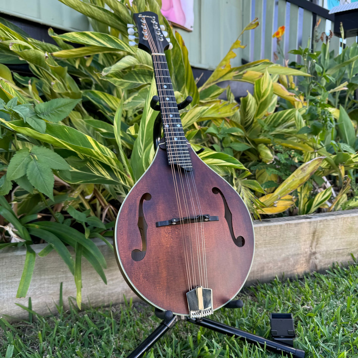 Eastman A-Style Mandolin with F-Hole