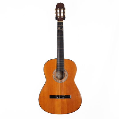 Vintage Stella Model 3504 4/4-Sized Classical Guitar