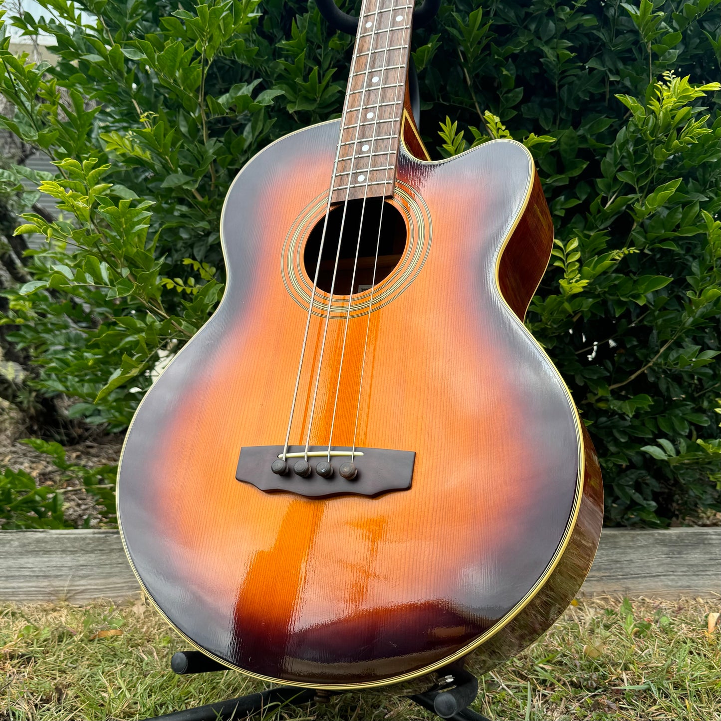 Jim Deacon SAB1000CE-TS Acoustic Bass