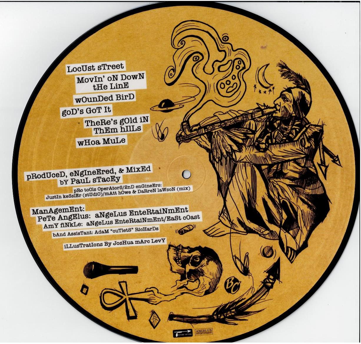 The Black Crowes – Warpaint (Vinyl, LP, Album, Picture Disc, Limited Edition)