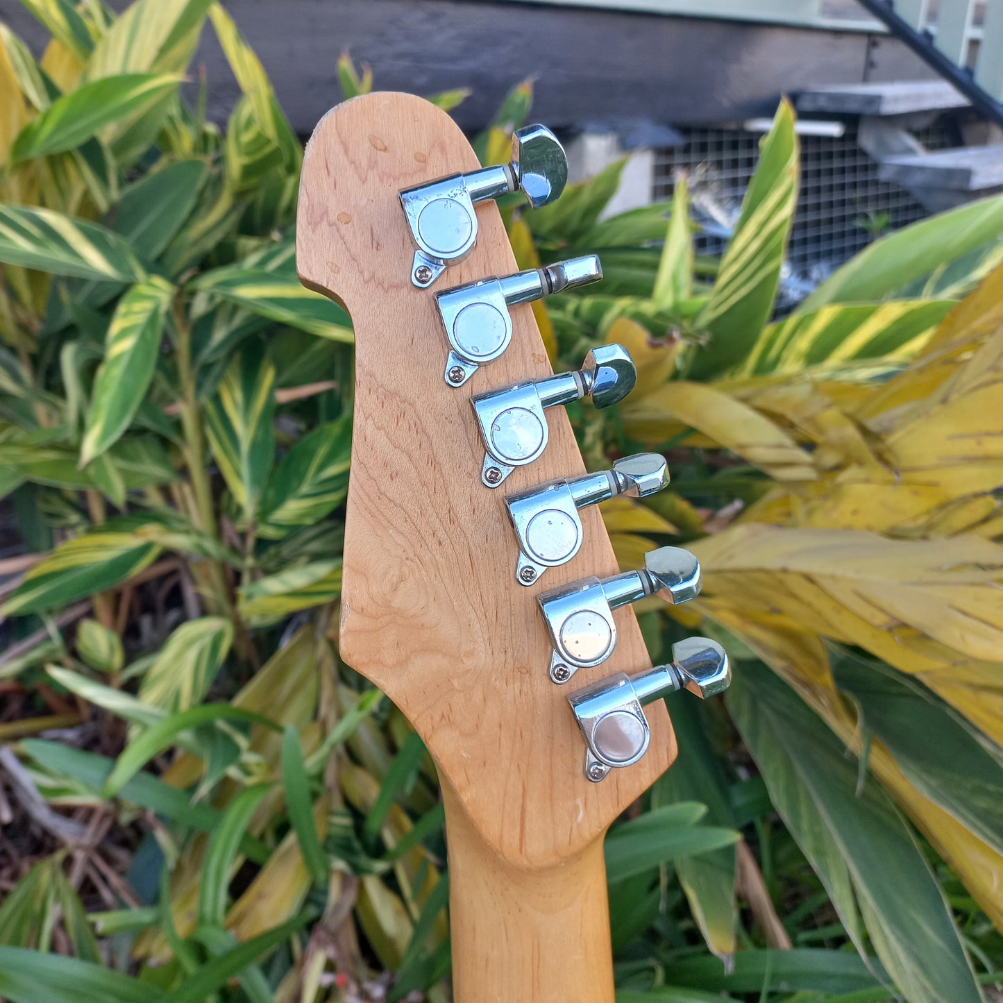 Monterey Stratocaster Style - Red