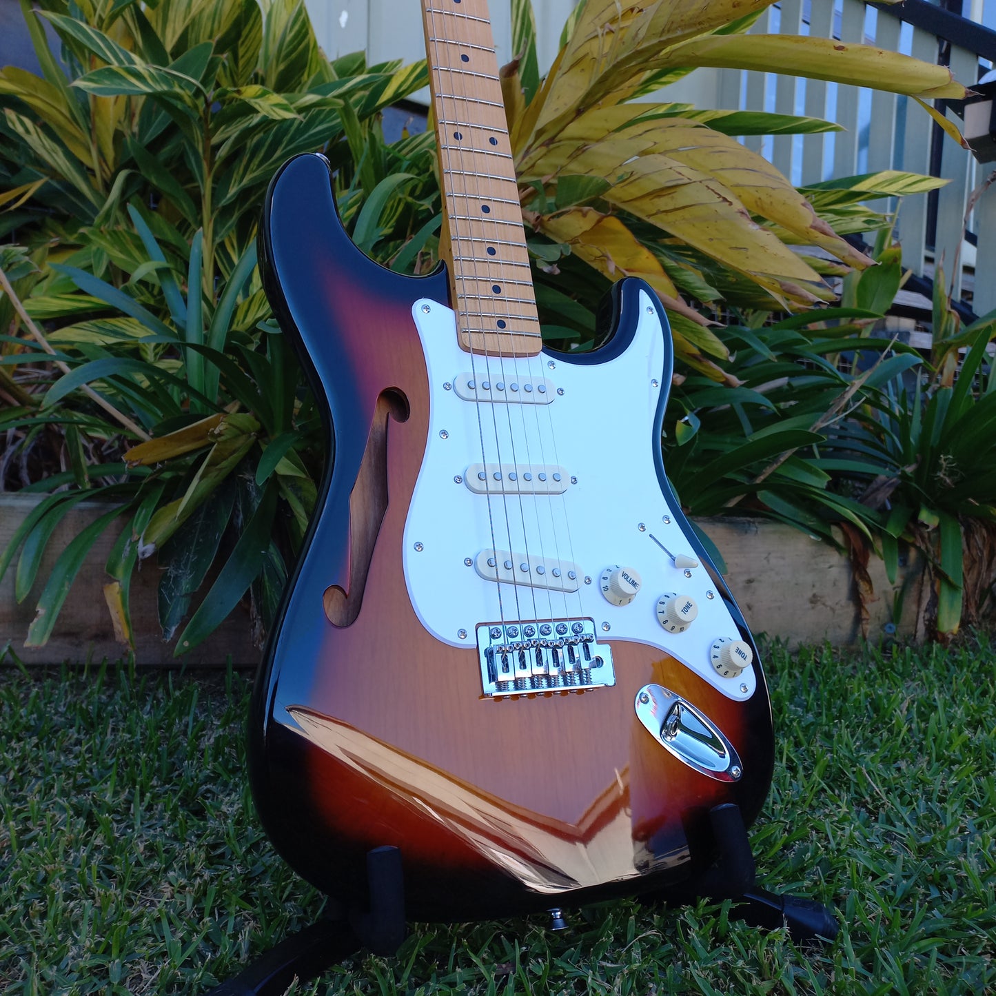 SX Alder Series Semi-Hollow Vintage Series Strat