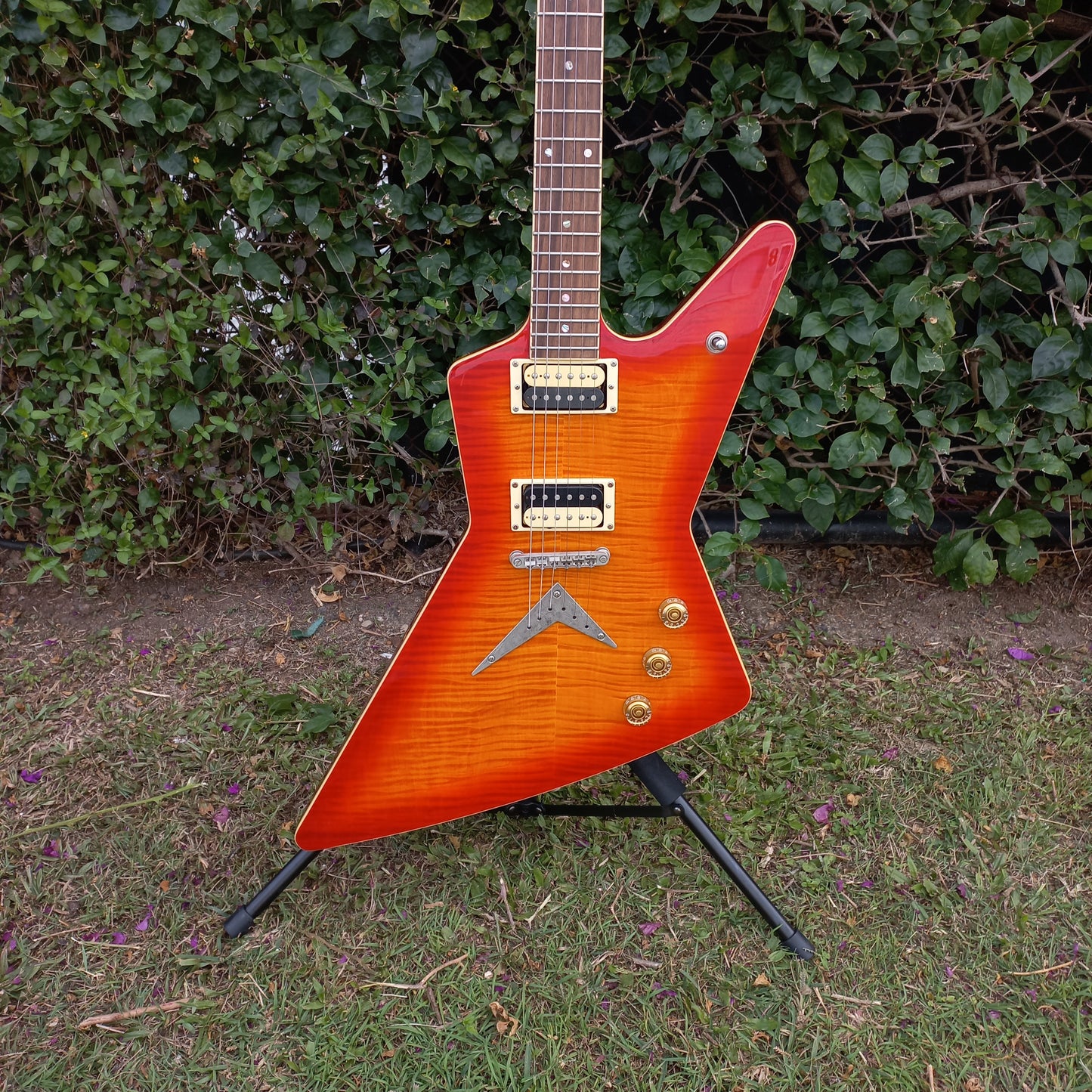 Dean Z Explorer