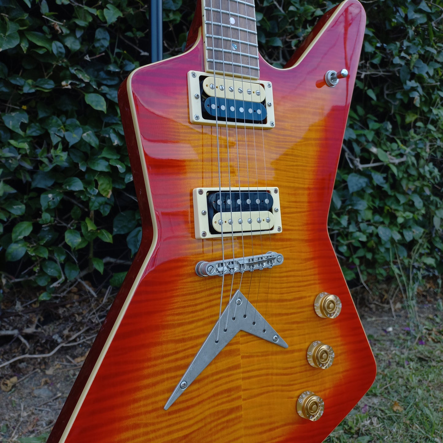 Dean Z Explorer