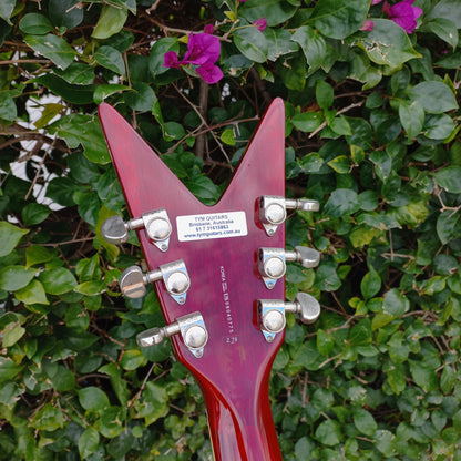 Dean Z Explorer