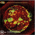 311 – From Chaos (CD, Album, Enhanced)