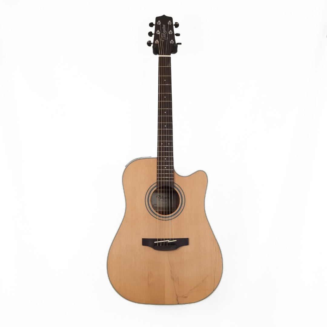 Takamine TGD20CENS G20 Series Dreadnought Guitar with Cutaway