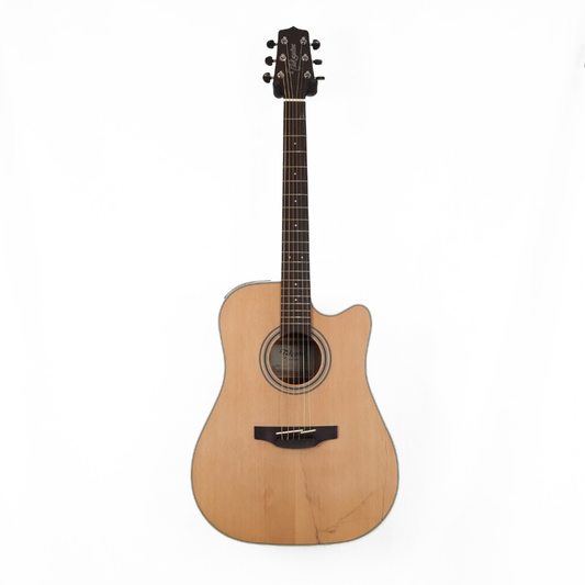 Takamine TGD20CENS G20 Series Dreadnought Guitar with Cutaway
