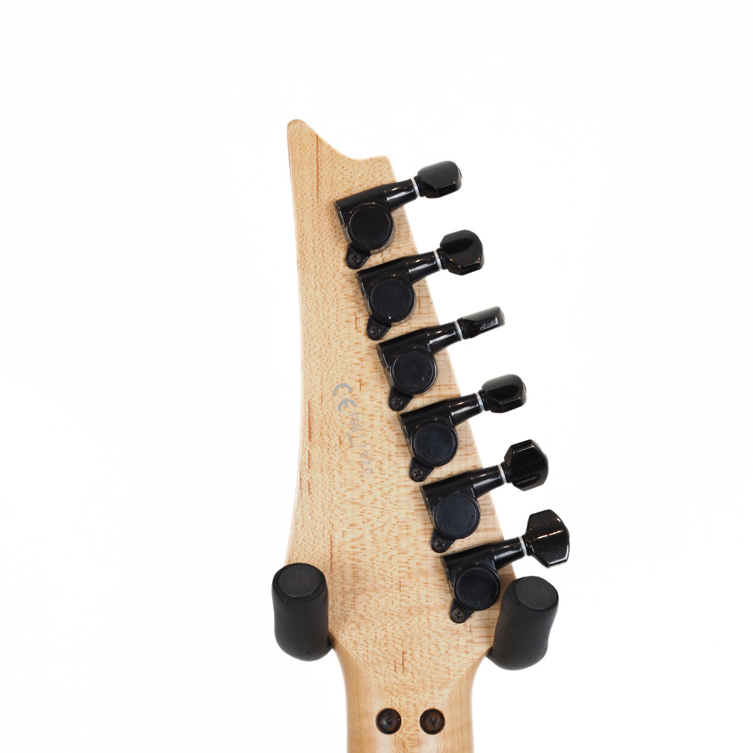 Ibanez JPM100 P4 John Petrucci Picasso Electric Guitar