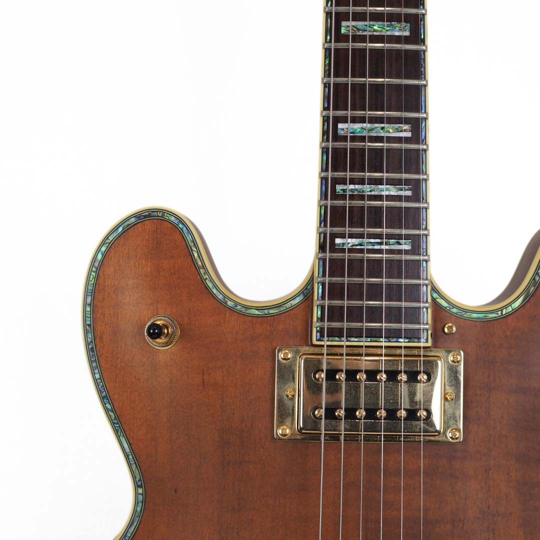 2009 Peerless Firefox Custom Semi-Hollow Electric Guitar
