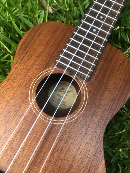 Maton Concert Ukulele