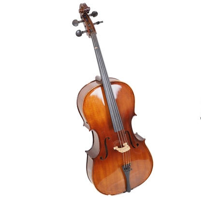 2008 1/2 Size Student Cello with Stradivarius Pattern