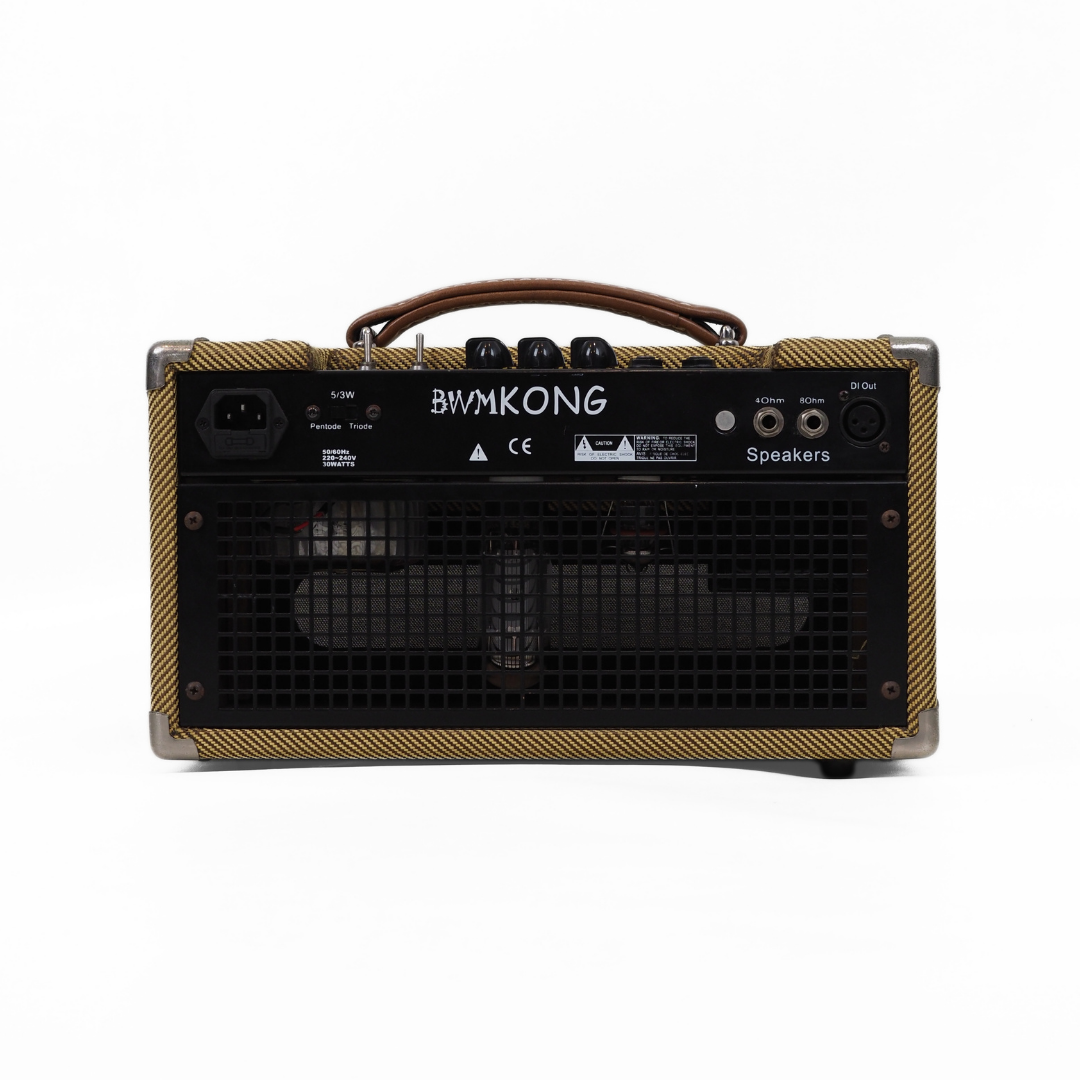 BWM Kong 5w Guitar Amplifier Head
