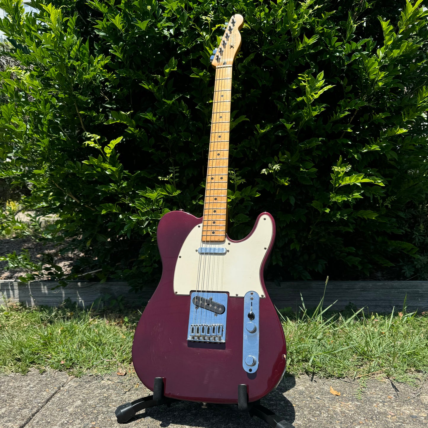 Fender Telecaster Standard MIM - Midnight Wine