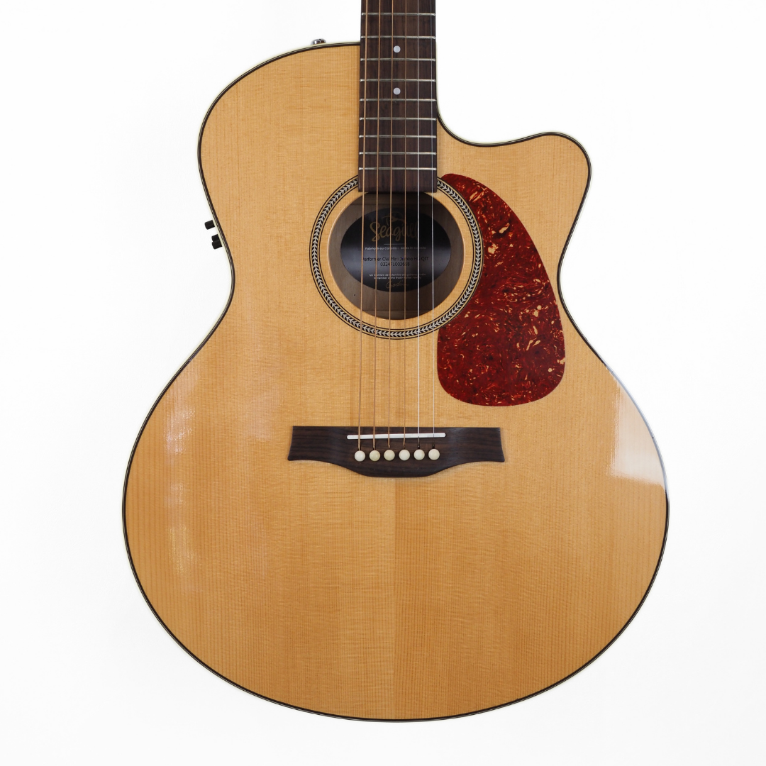 Seagull Performer Cutaway Mini Jumbo Flame Maple QI Acoustic-Electric Guitar