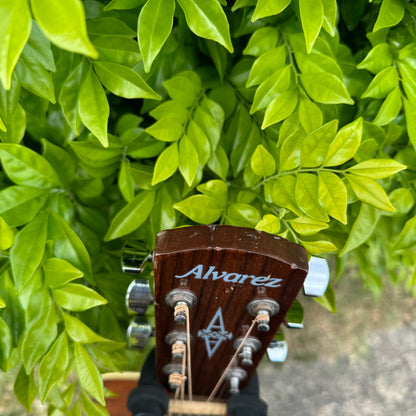 Alvarez RF26CE Acoustic Electric