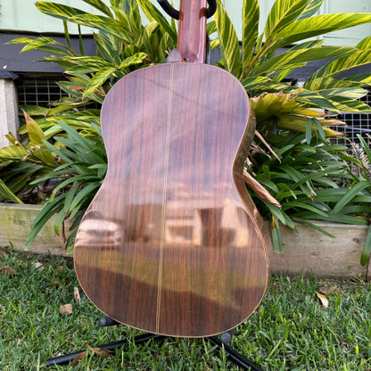 J&D Luthiers JD-C55-NGL Classical