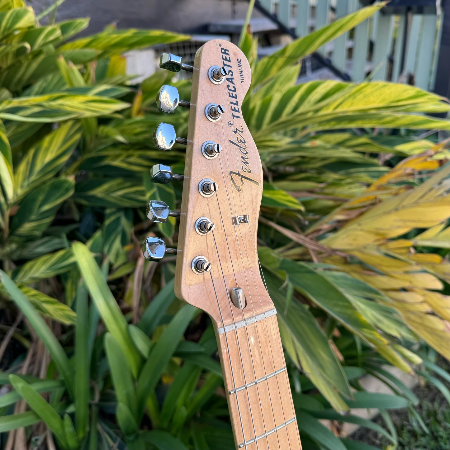 Fender Telecaster Thinline