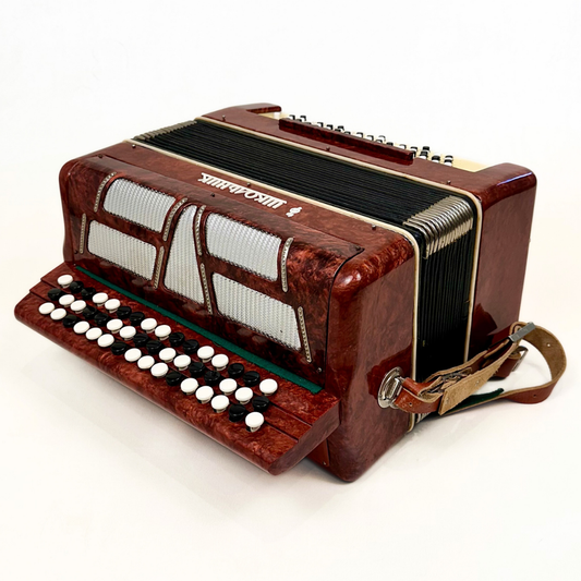 Shkolnik Soviet-Era Bayan-Style Student Accordion