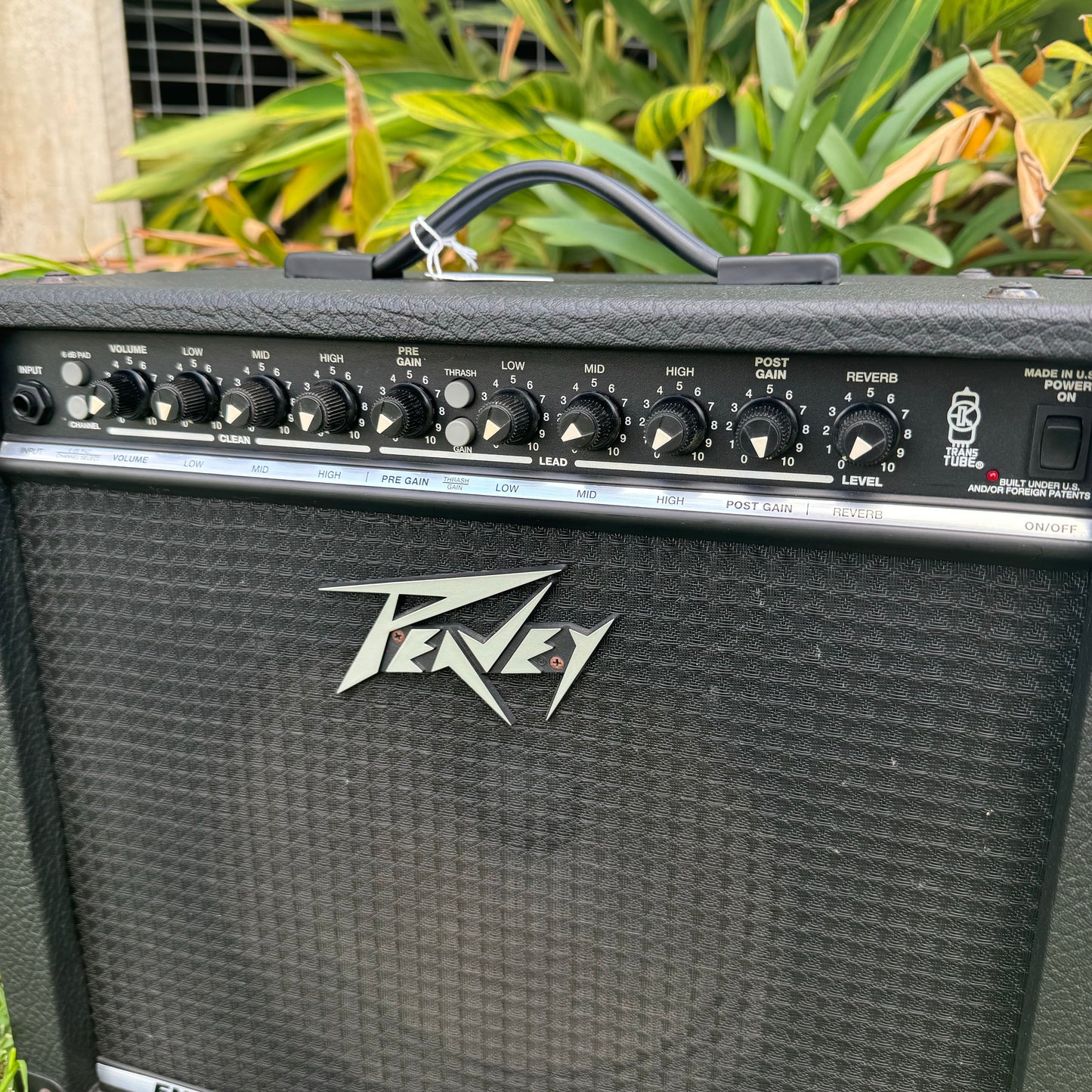 Peavey Envoy 110