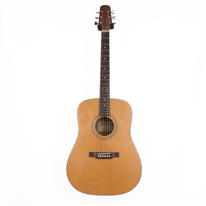 Walden D-310T Dreadnought Acoustic Guitar