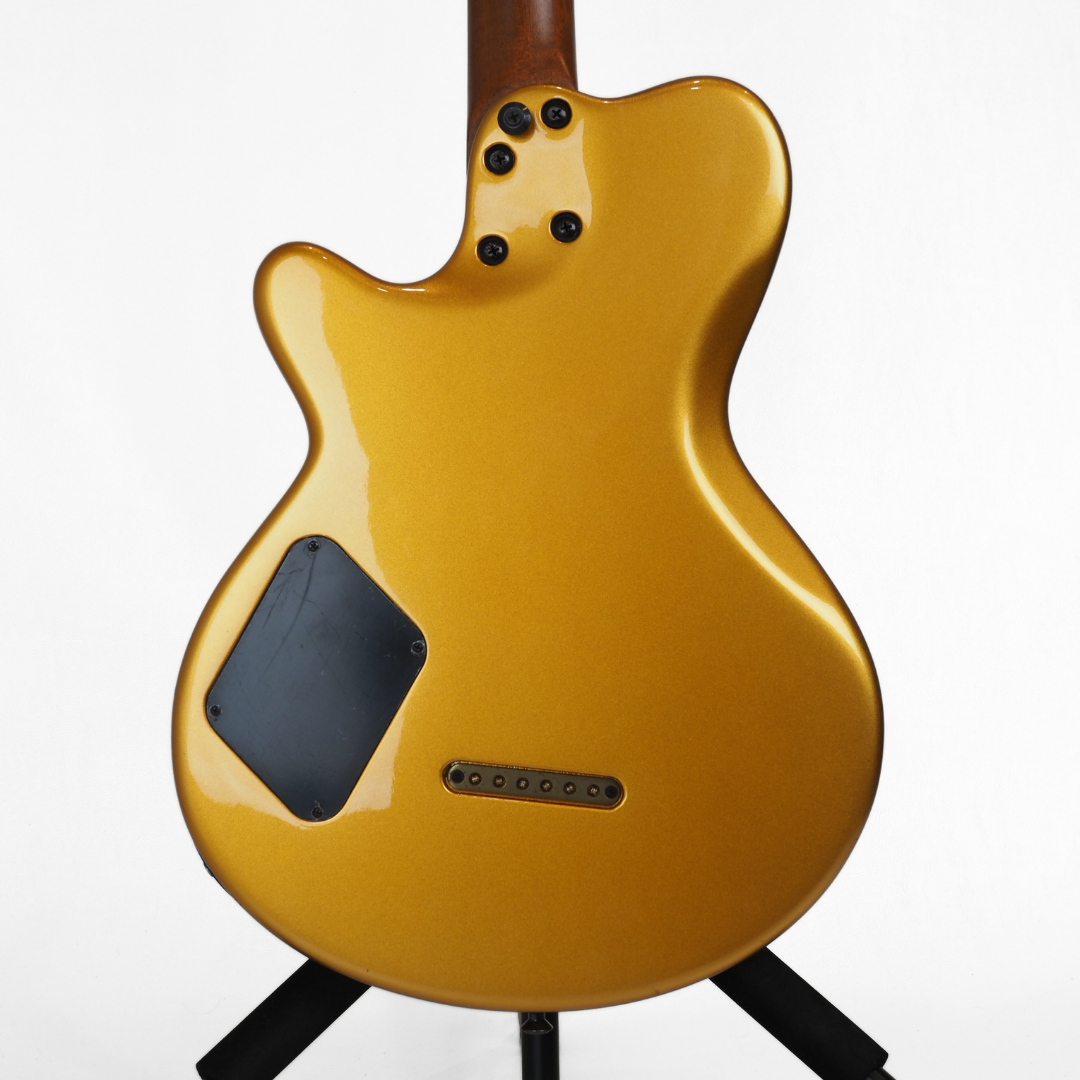 2006 Godin Model LG Electric Guitar in Metallic Gold Gloss