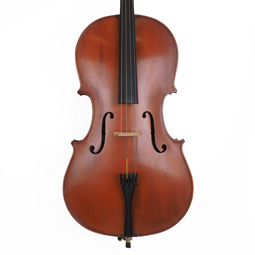 Enrico Student Extra 3/4 Size Cello