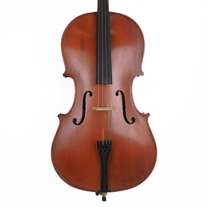 Enrico Student Extra 3/4 Size Cello