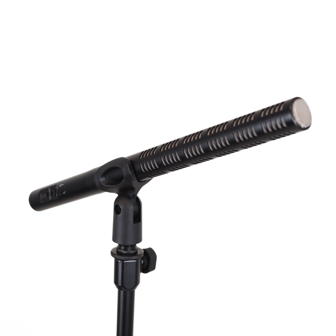 Sennheiser ME66 Super-Cardioid/Lobar Microphone