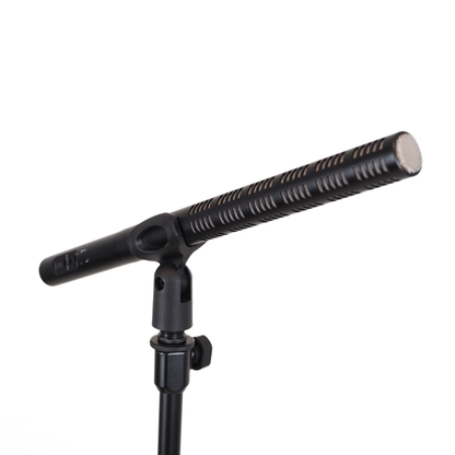 Sennheiser ME66 Super-Cardioid/Lobar Microphone