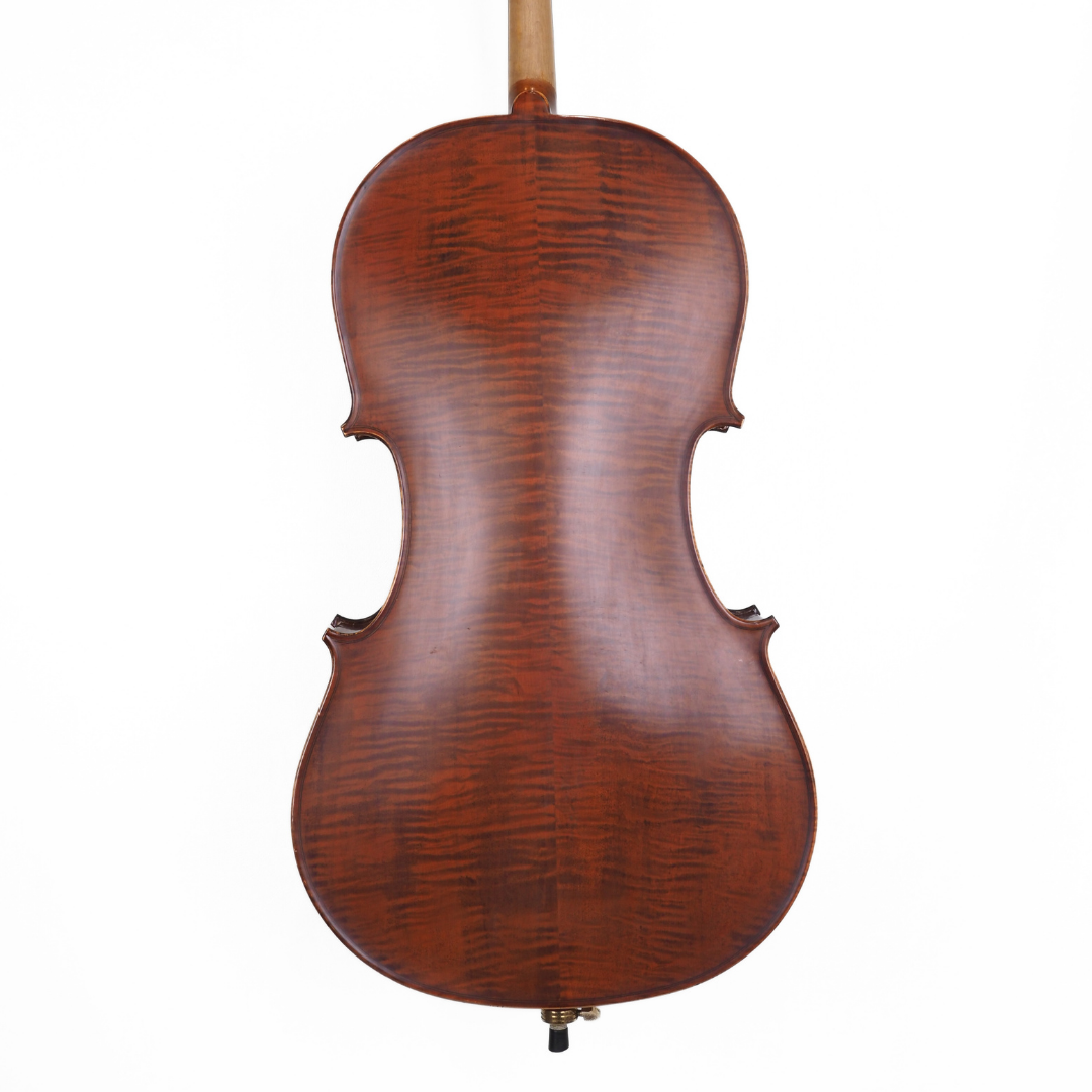 Enrico Student Extra 3/4 Size Cello