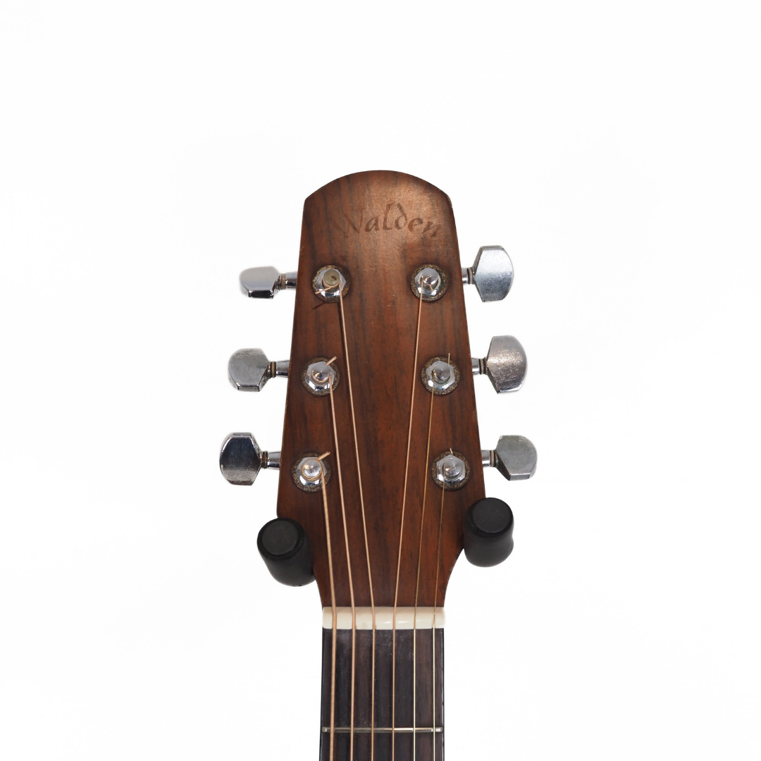 Walden D-310T Dreadnought Acoustic Guitar