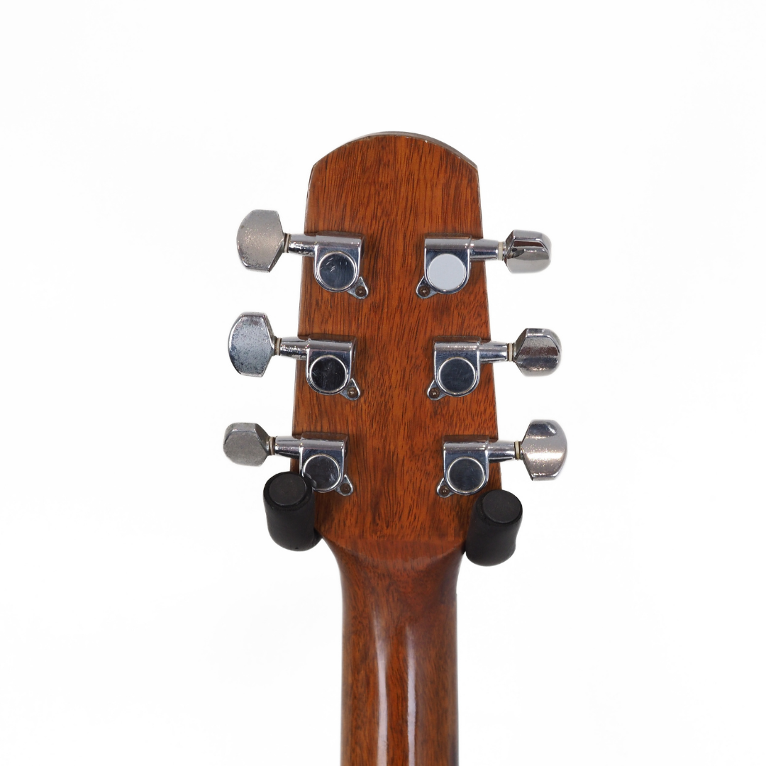 Walden D-310T Dreadnought Acoustic Guitar