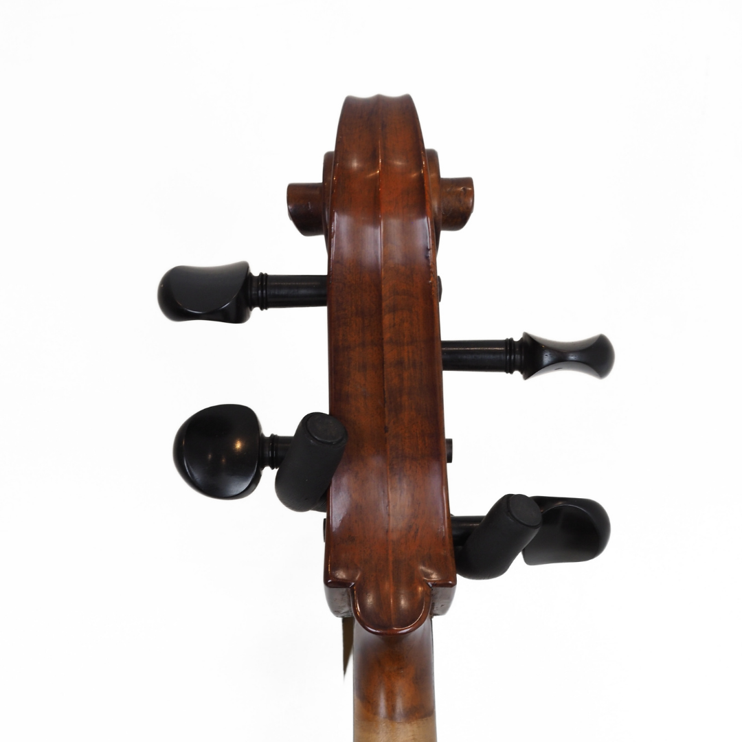 Enrico Student Extra 3/4 Size Cello
