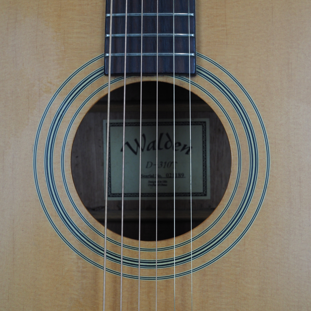 Walden D-310T Dreadnought Acoustic Guitar