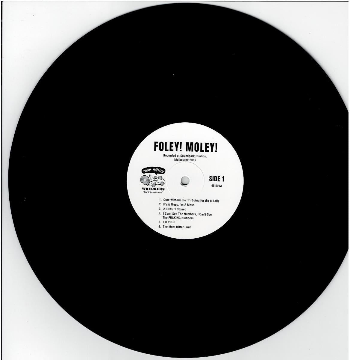 FOLEY! – MOLEY! (Vinyl, LP, 45 RPM, Album)