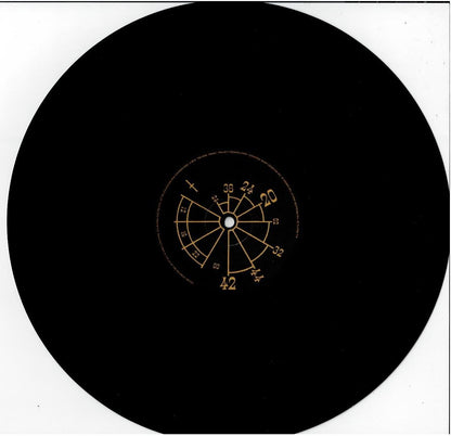 Arcadia – Election Day (The Consensus Mix) (Vinyl, 12", 45 RPM, Single)