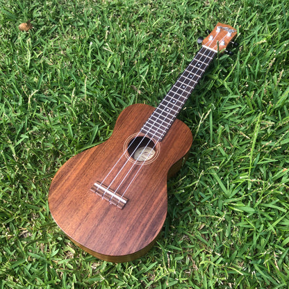 Maton Concert Ukulele