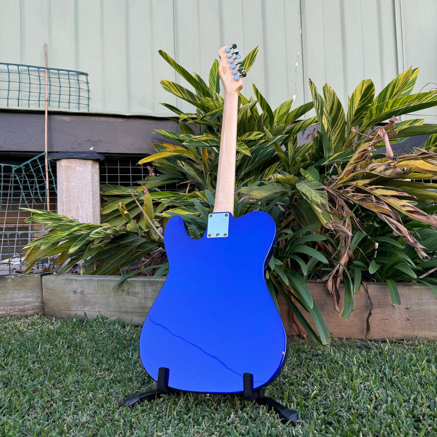 Squier Affinity Tele - Electric Blue