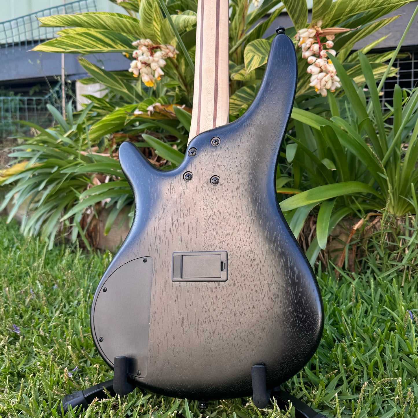 Ibanez SR300EB