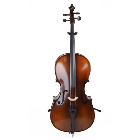 Stentor Student Extra 3/4 Cello in Antique Chestnut