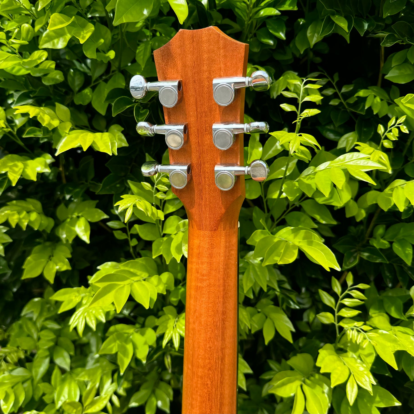 Taylor BT2 Baby Mahogany