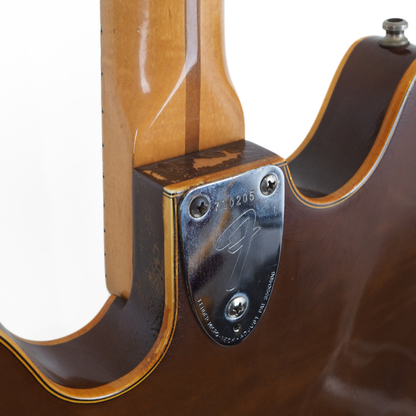 1976 Fender Starcaster Electric Guitar in Walnut