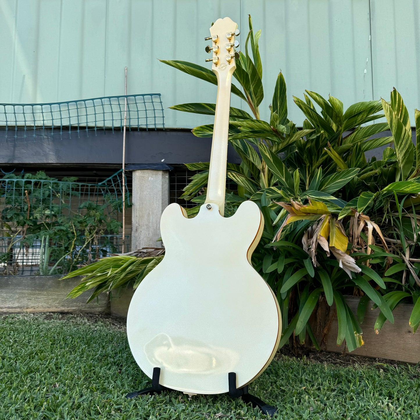 Epiphone Dot Royale w/ Bigsby - Pearl White